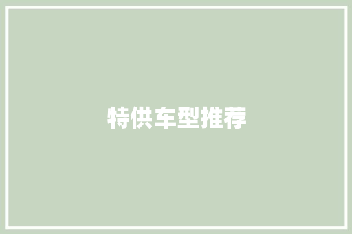 特供车型推荐