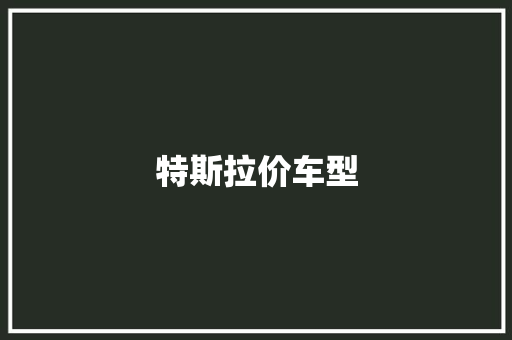 特斯拉价车型