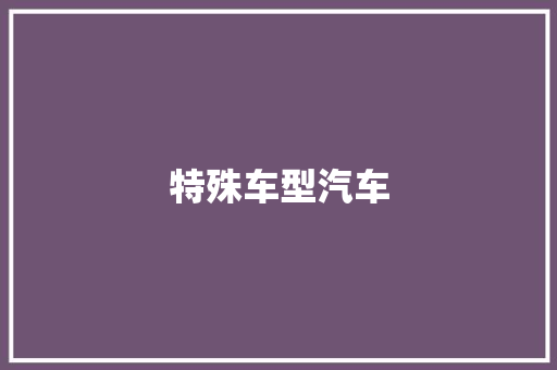 特殊车型汽车