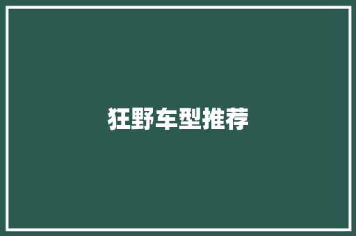 狂野车型推荐