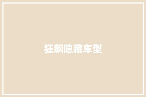 狂飙隐藏车型