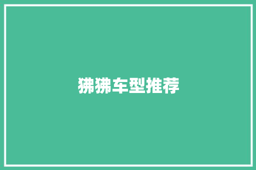 狒狒车型推荐