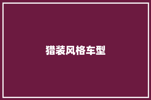 猎装风格车型
