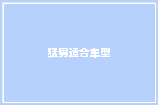 猛男适合车型