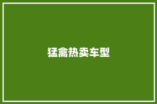 猛禽热卖车型