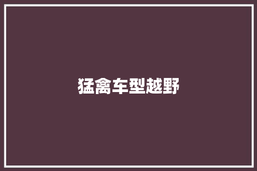 猛禽车型越野