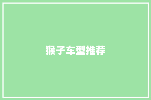猴子车型推荐