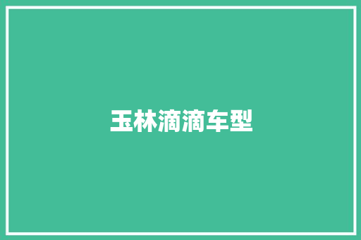 玉林滴滴车型
