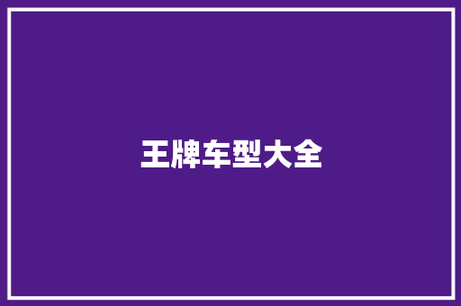 王牌车型大全