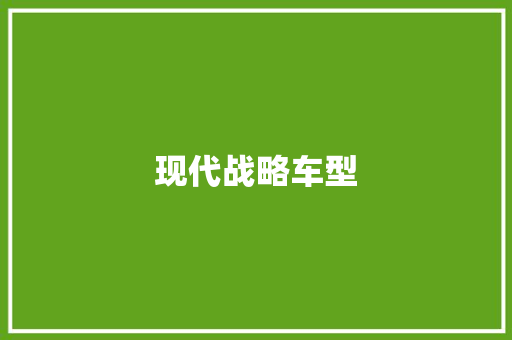 现代战略车型