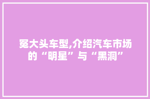 冤大头车型,介绍汽车市场的“明星”与“黑洞”