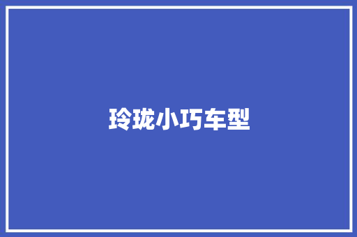 玲珑小巧车型