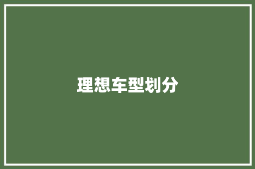 理想车型划分