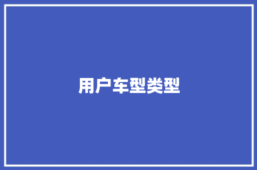 用户车型类型