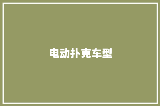 电动扑克车型
