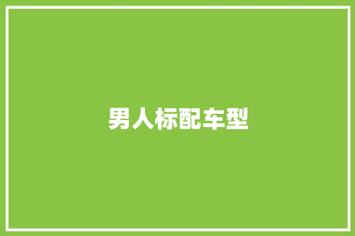 男人标配车型
