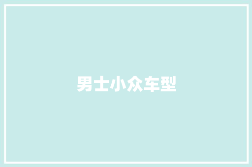 男士小众车型