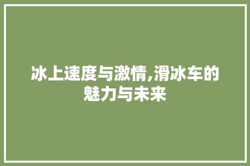 冰上速度与激情,滑冰车的魅力与未来