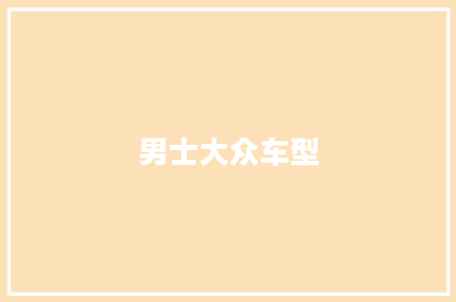 男士大众车型