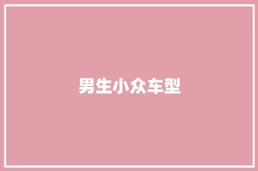 男生小众车型