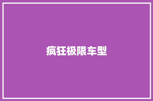 疯狂极限车型