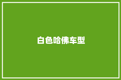 白色哈佛车型