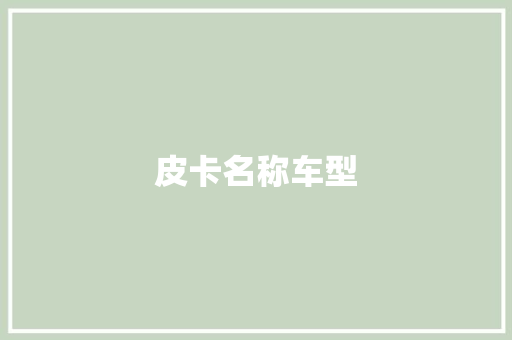 皮卡名称车型