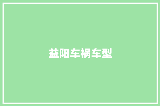 益阳车祸车型