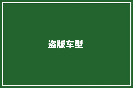 盗版车型 
