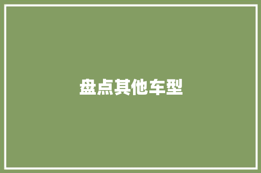 盘点其他车型