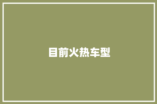 目前火热车型