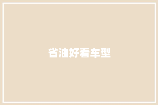 省油好看车型