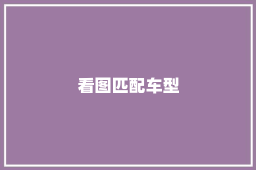 看图匹配车型