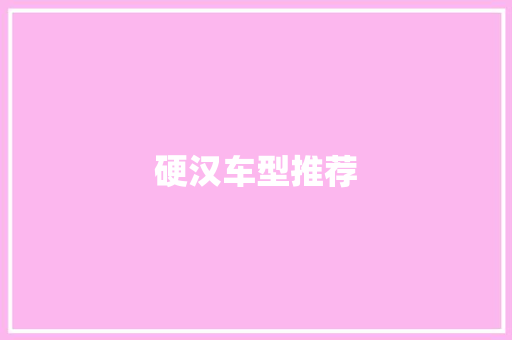 硬汉车型推荐