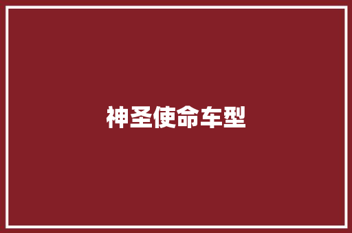 神圣使命车型