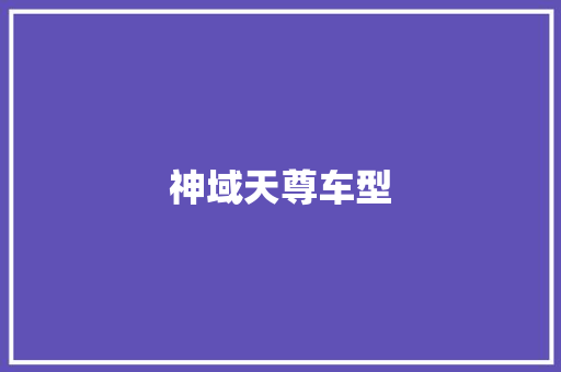 神域天尊车型