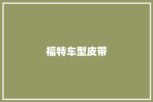 福特车型皮带
