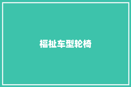 福祉车型轮椅