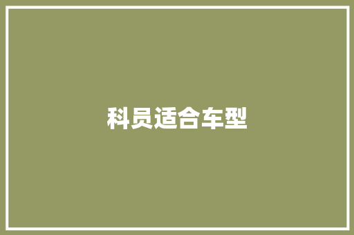 科员适合车型