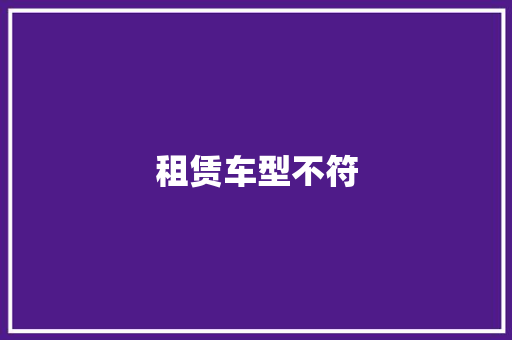 租赁车型不符