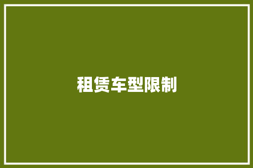 租赁车型限制