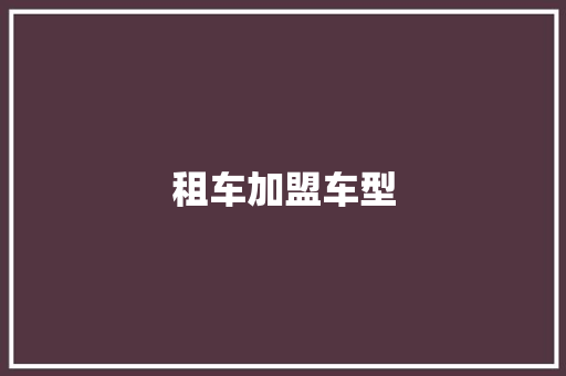 租车加盟车型