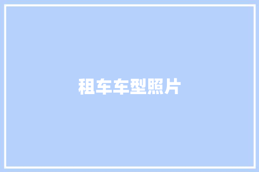 租车车型照片