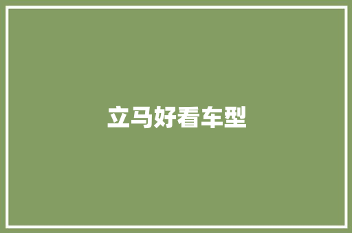 立马好看车型