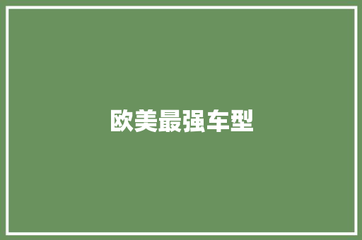 欧美最强车型