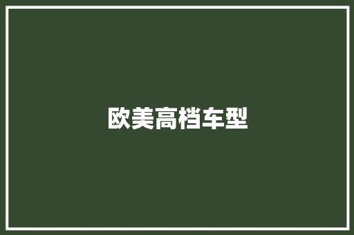 欧美高档车型