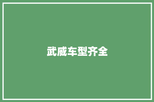 武威车型齐全