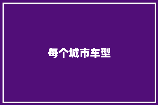 每个城市车型