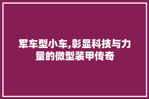 军车型小车,彰显科技与力量的微型装甲传奇