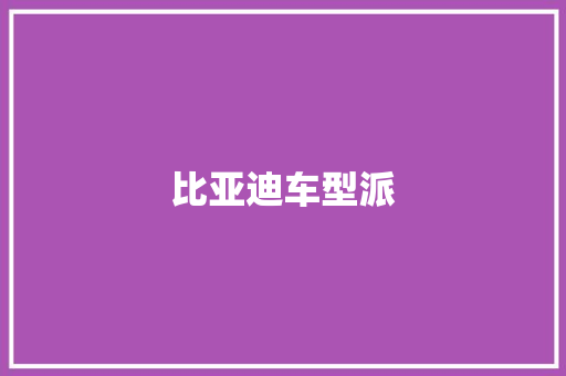 比亚迪车型派